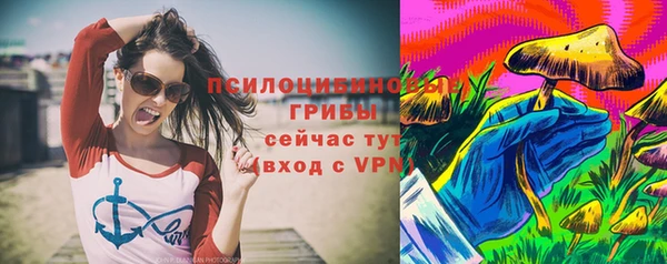 дживик Аркадак