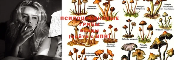 бутират Арсеньев