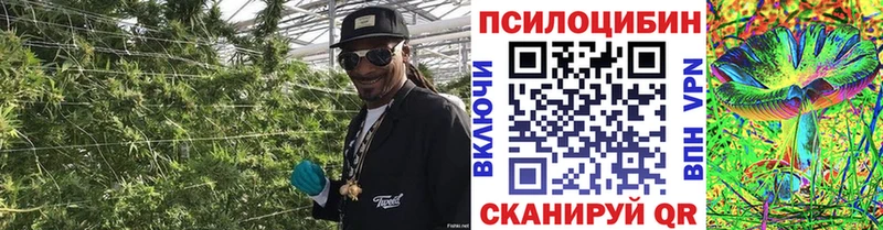 Псилоцибиновые грибы Magic Shrooms  Купить где  Саяногорск 