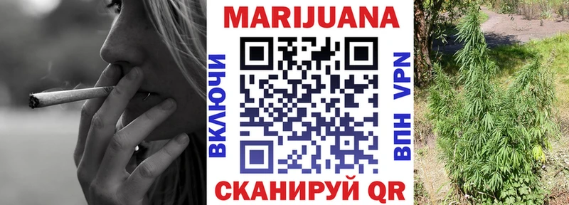Конопля SATIVA & INDICA  Купить где  Саяногорск 